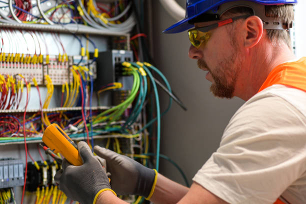 Best Electric Panel Repair  in Lake Wildwood, CA